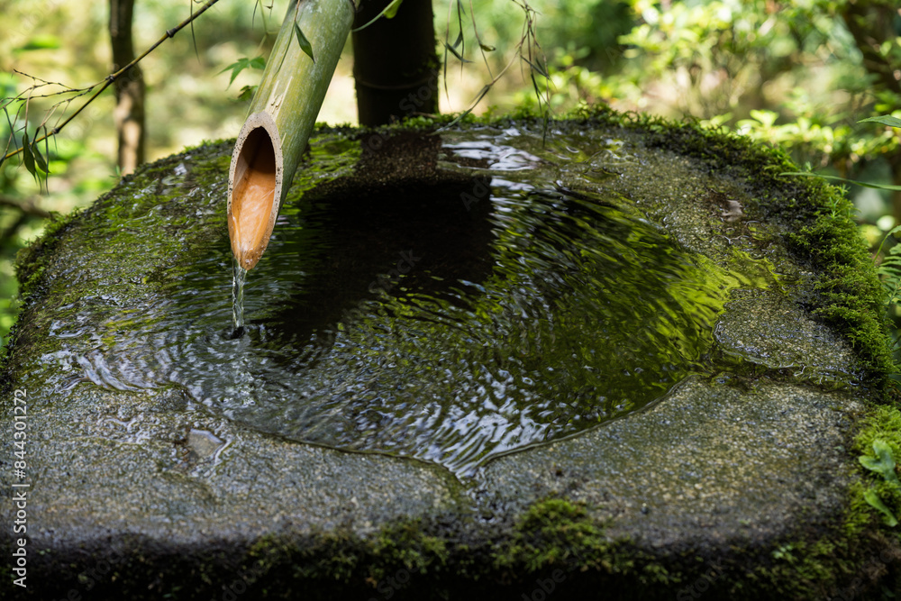 Traditional Japanese Bamboo Water Feature (Shishi-odoshi)
