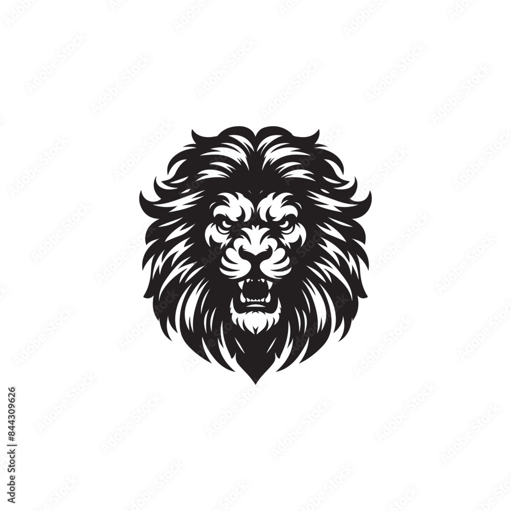 Angry lion Angry lion