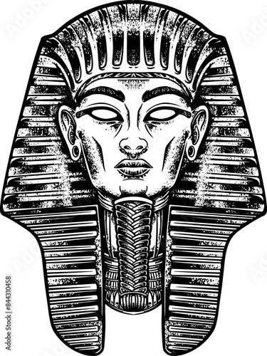 Pharaoh king of Egyptian pyramids Vector graphic