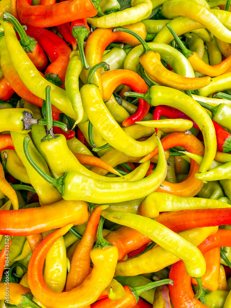 Green and red hot chilli peppers for sale at the local market. Colorful, natural pattern top view closeup. Green and red hot chilli peppers for sale at the local market. Colorful, natural pattern top view closeup.