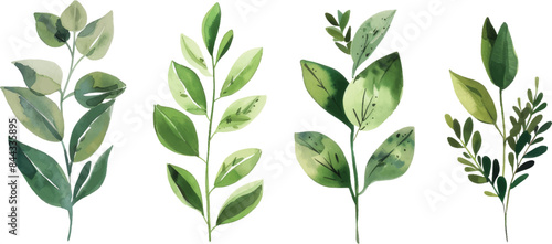 A set of four watercolor illustrations featuring various green leaves and branches. Perfect for botanical designs, nature-inspired projects, and artistic decorations