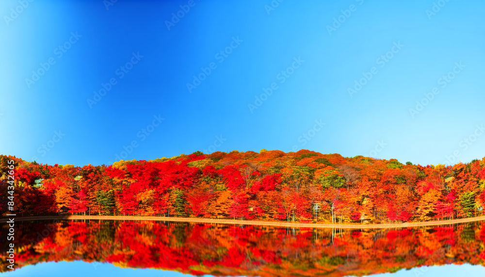 Obraz premium Vibrant Autumn Foliage by the Lake