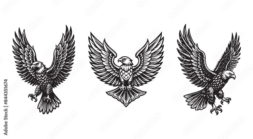 Obraz premium Vintage Detailed Eagle Silhouette