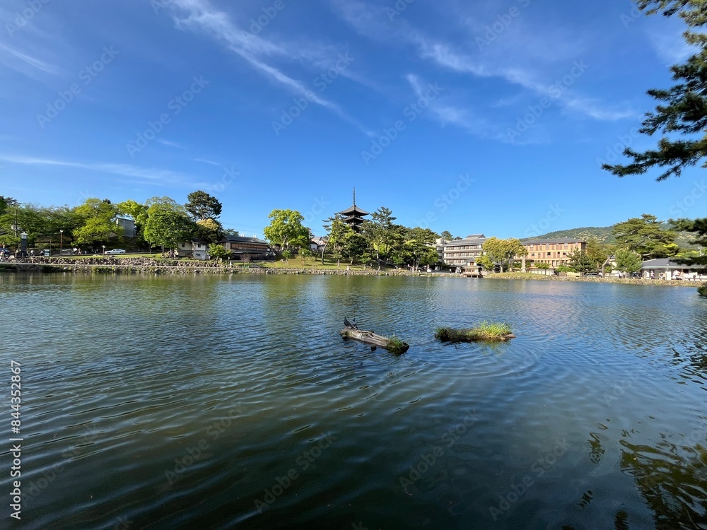 Obraz premium 猿沢の池、奈良