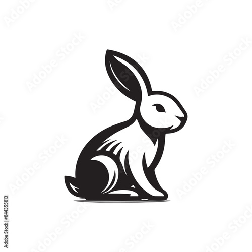 Bunny or rabbit logo design, vector illustration © Aesthetic Designer
