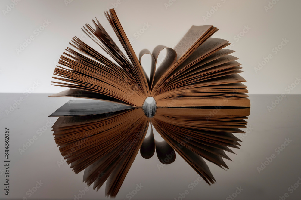 Still life with an open book