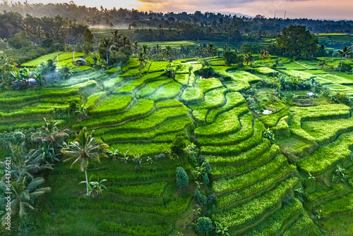 Quadro su tela Jatiluwih Rice Terraces in Penebel district, Bali, Indonesia
