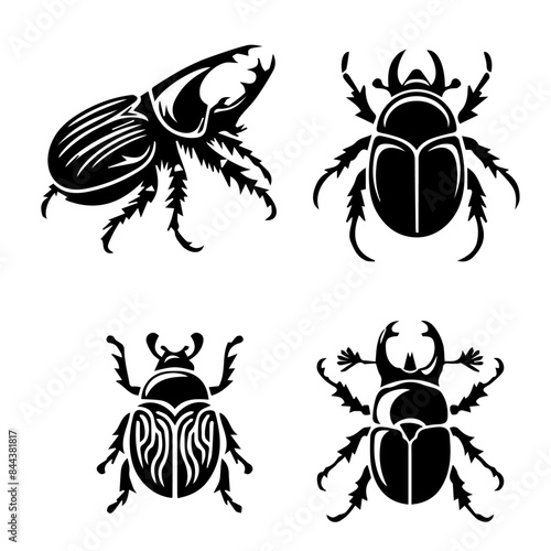 Beetle silhouette on white background