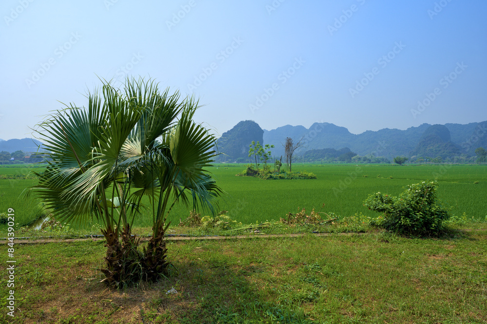 Obraz premium Beautiful Landscape at Ninh Binh Province, Vietnam