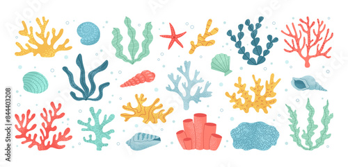 Seaweed and coral of set. Hand drawn aquarium plants, underwater ocean flora, seashell, algae, starfish. Vector marine plants and animals of the seabed. Flat cartoon illustration.