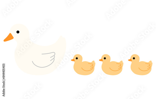  cute white duck and duckling illustration