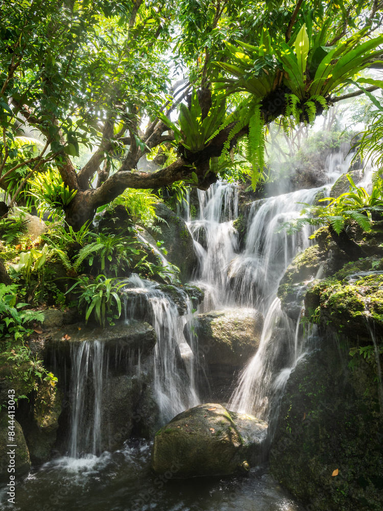 jungle feelings - Jungle Gefühle jungle feelings - Jungle Gefühle