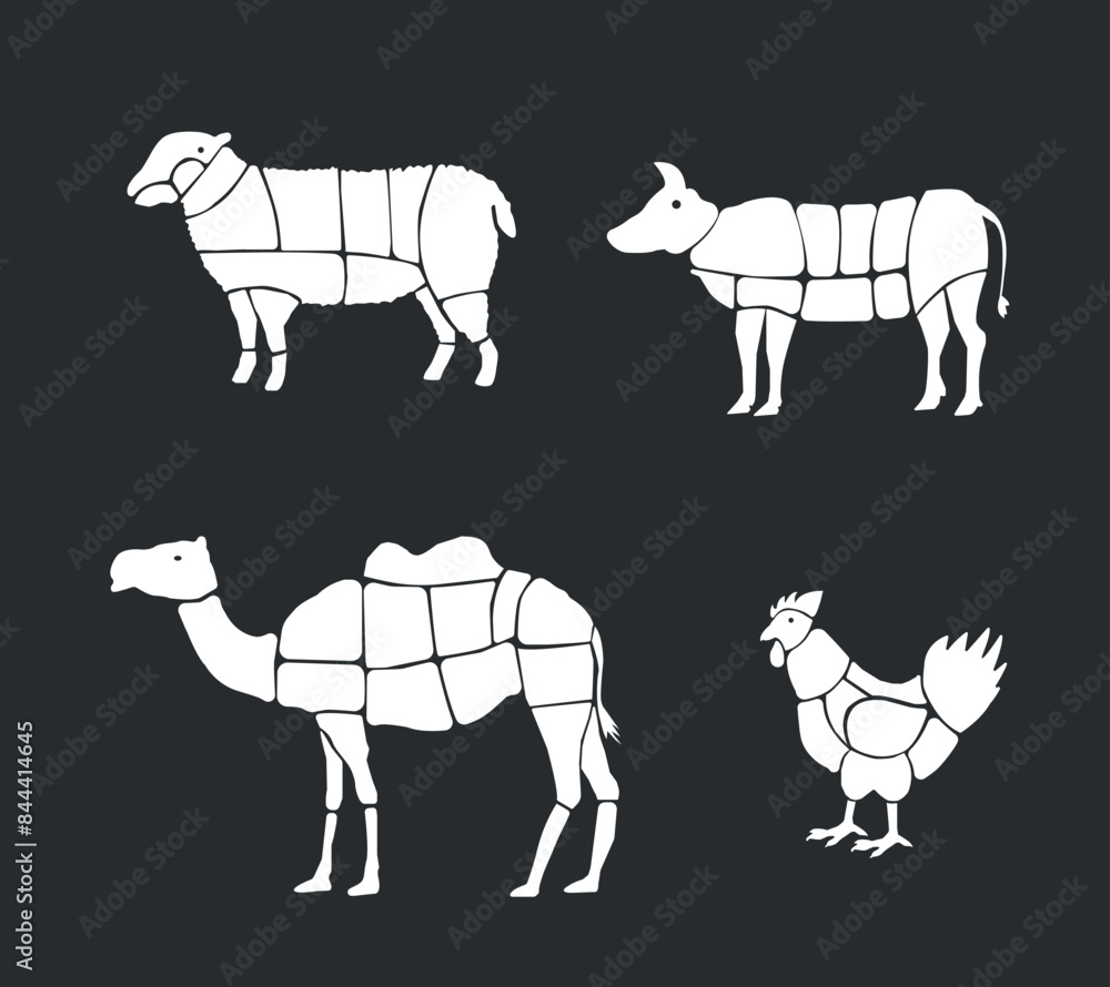 Meat parts of the cow,calf,camel. Eid al adha sacrifice, meat vectors Meat parts of the cow,calf,camel. Eid al adha sacrifice, meat vectors