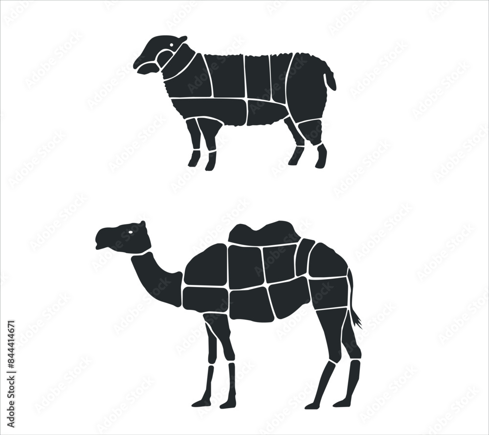 Fototapeta premium Meat parts of the cow,calf,camel. Eid al adha sacrifice, meat vectors