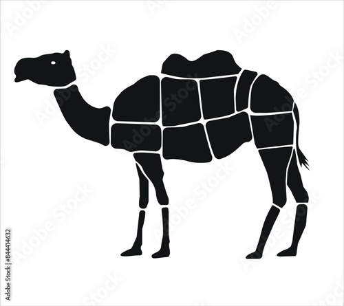 Meat parts of the cow,calf,camel. Eid al adha sacrifice, meat vectors