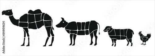 Meat parts of the cow,calf,camel. Eid al adha sacrifice, meat vectors