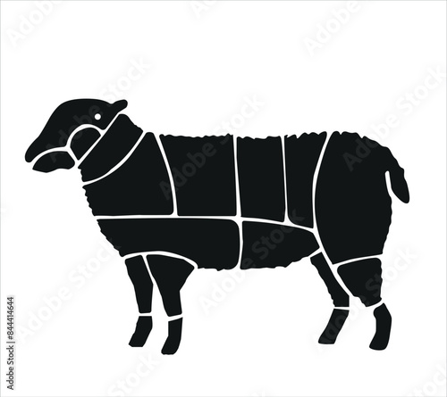 Meat parts of the cow,calf,camel. Eid al adha sacrifice, meat vectors