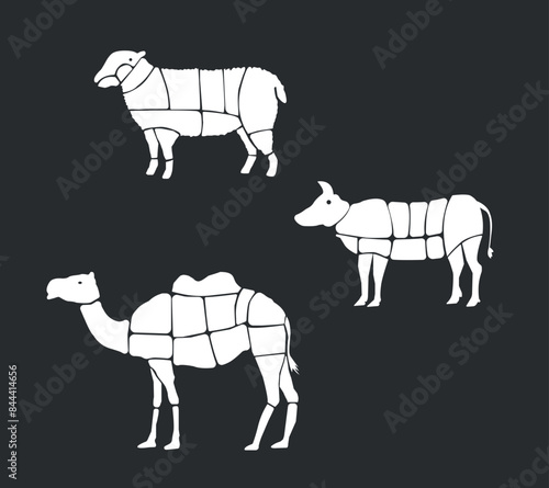 Meat parts of the cow,calf,camel. Eid al adha sacrifice, meat vectors