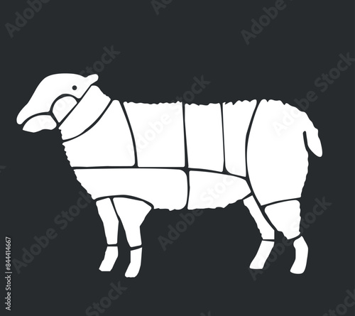 Meat parts of the cow,calf,camel. Eid al adha sacrifice, meat vectors