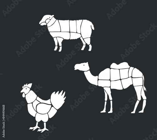 Meat parts of the cow,calf,camel. Eid al adha sacrifice, meat vectors