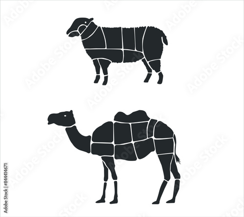 Meat parts of the cow,calf,camel. Eid al adha sacrifice, meat vectors