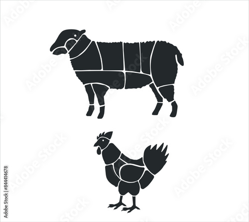 Meat parts of the cow,calf,camel. Eid al adha sacrifice, meat vectors