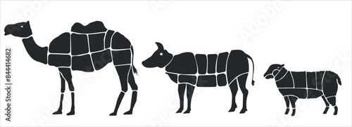 Meat parts of the cow,calf,camel. Eid al adha sacrifice, meat vectors