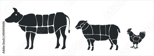 Meat parts of the cow,calf,camel. Eid al adha sacrifice, meat vectors