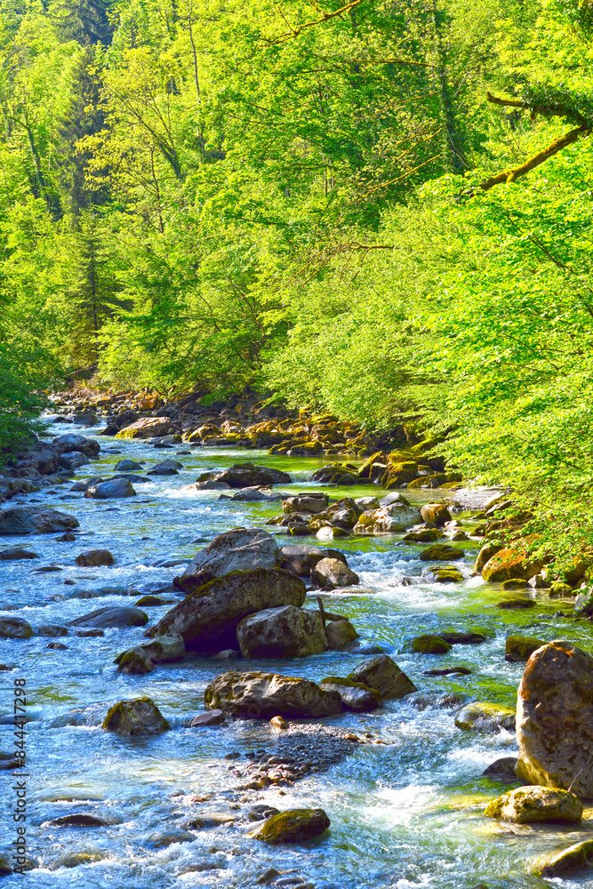 Obraz premium Die Dornbirner Ach bei Dornbirn, Vorarlberg (Österreich)