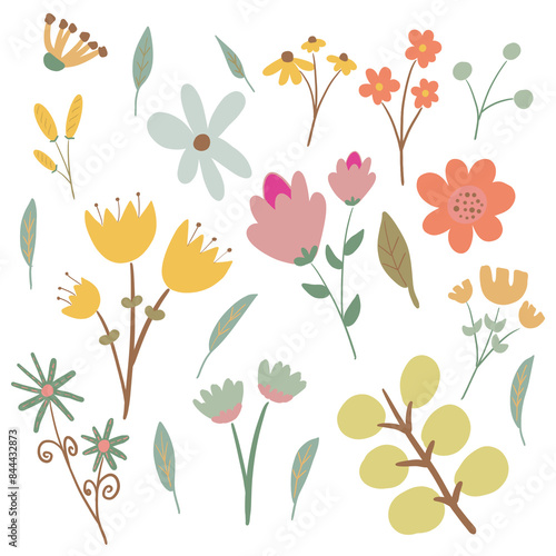 Spring Flowers Element for your design or wall art
