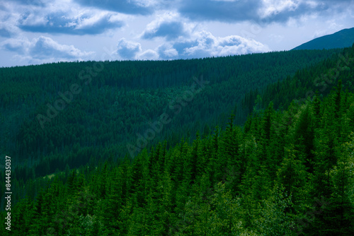 View of forested mountains on a beautiful sunny day in Poland