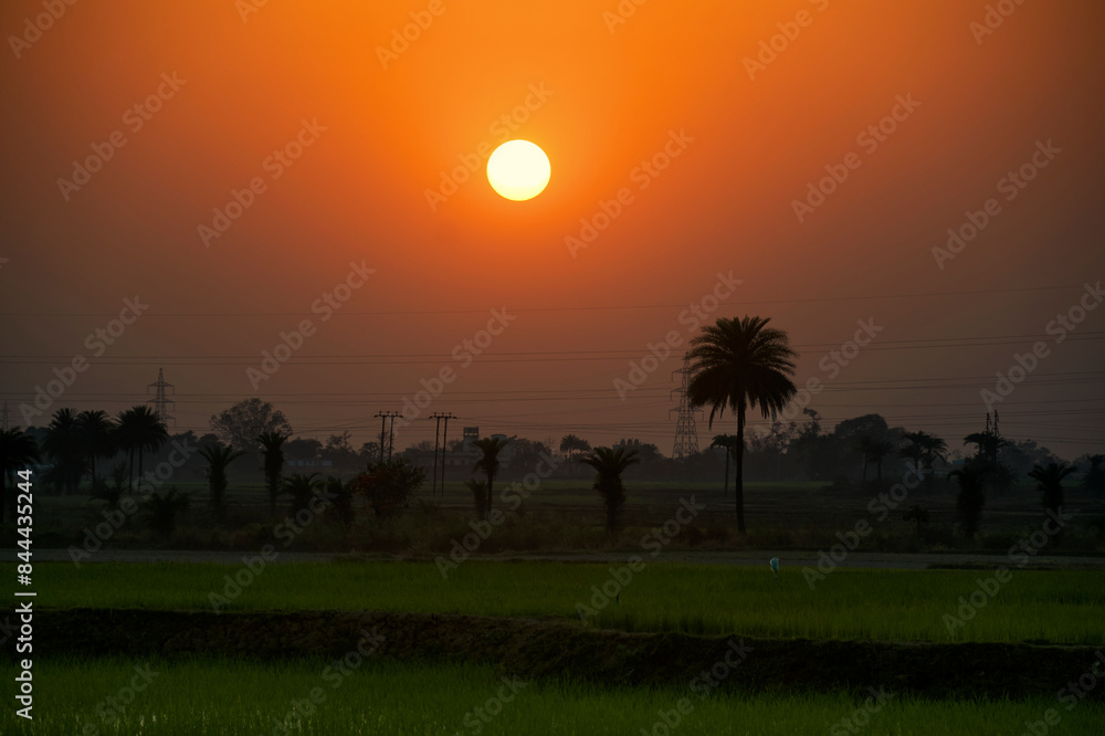 Fototapeta premium majestic view of rural agricultural landscape during sunset, with last rays of setting sun creating a golden moment. Photo taken in Baghmundi, Purulia, West Bengal.