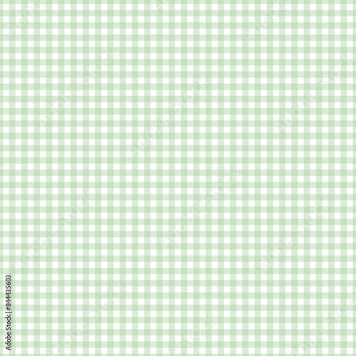 Seamless Gingham Pattern in Light Green and White
