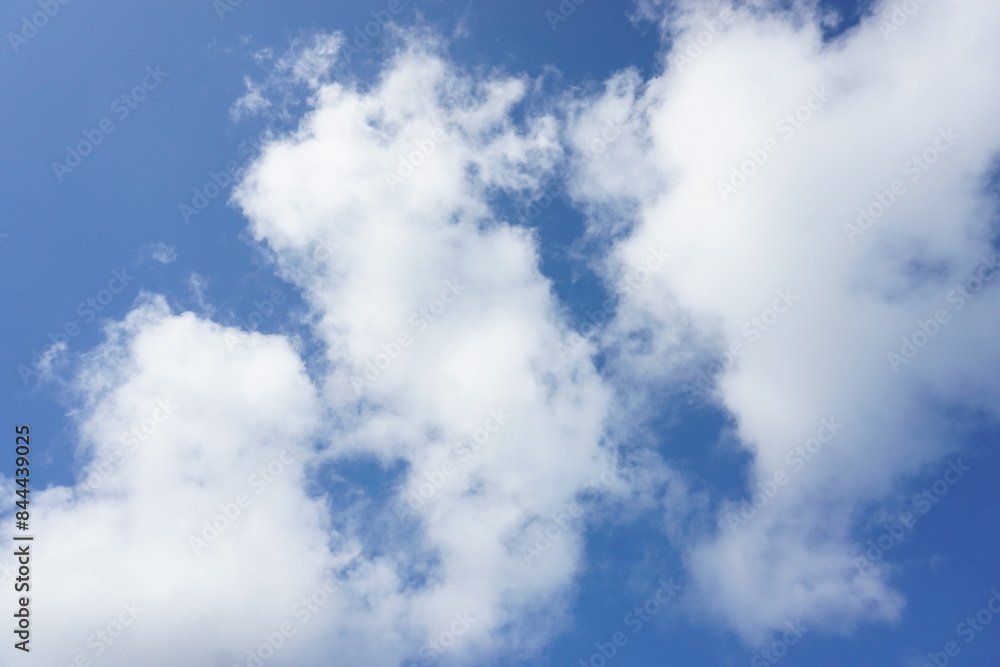 Obraz premium すっきり青空と海 