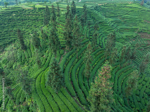 Aerial view of tea terrace landscape in China © lzf
