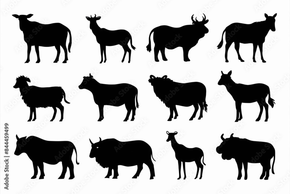 Obraz premium A set of farm animals, farm animals collection