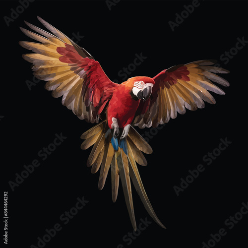 Portrait of a macaw parrot in flight. Color image of a blue-red macaw parrot on a black background.

