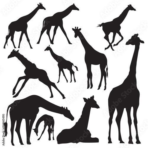 Giraffe silhouette stock vector illustration