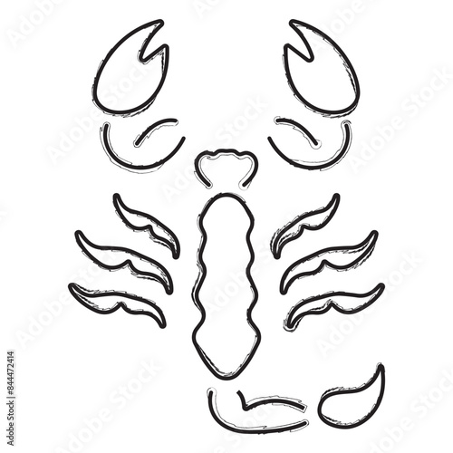 scorpion brush strokes on a white background. Vector illustration.