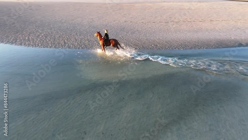 4K, aerial drone, woman riding horse on beach at sunrise dawn, Woodgate Beach, Queensland, Australia photo