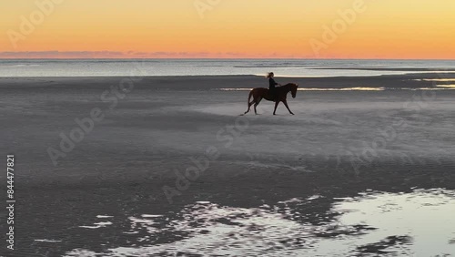 4K, aerial drone, woman riding horse on beach at sunrise dawn, Woodgate Beach, Queensland, Australia