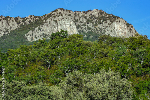 Beautiful landscape of Sierra Madrona, Environmental Education, Fuencaliente, Ciudad Real province, Spain