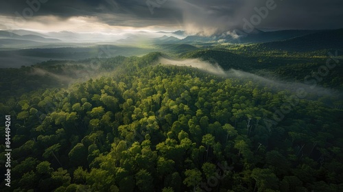 Aerial view of a lush green forest shrouded in mist during sunrise, with dramatic skies and light rays creating an enchanting natural scene. © Thamonchanok