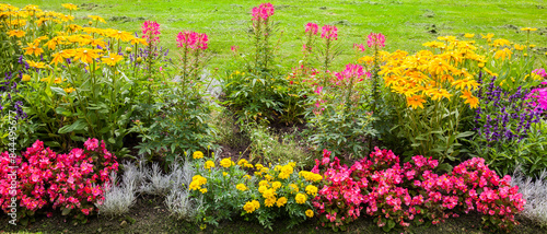 Blumenrabatte aus bunten Sommerblumen in einem Park