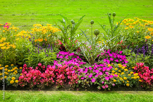 Blumenrabatte aus bunten Sommerblumen in einem Park
