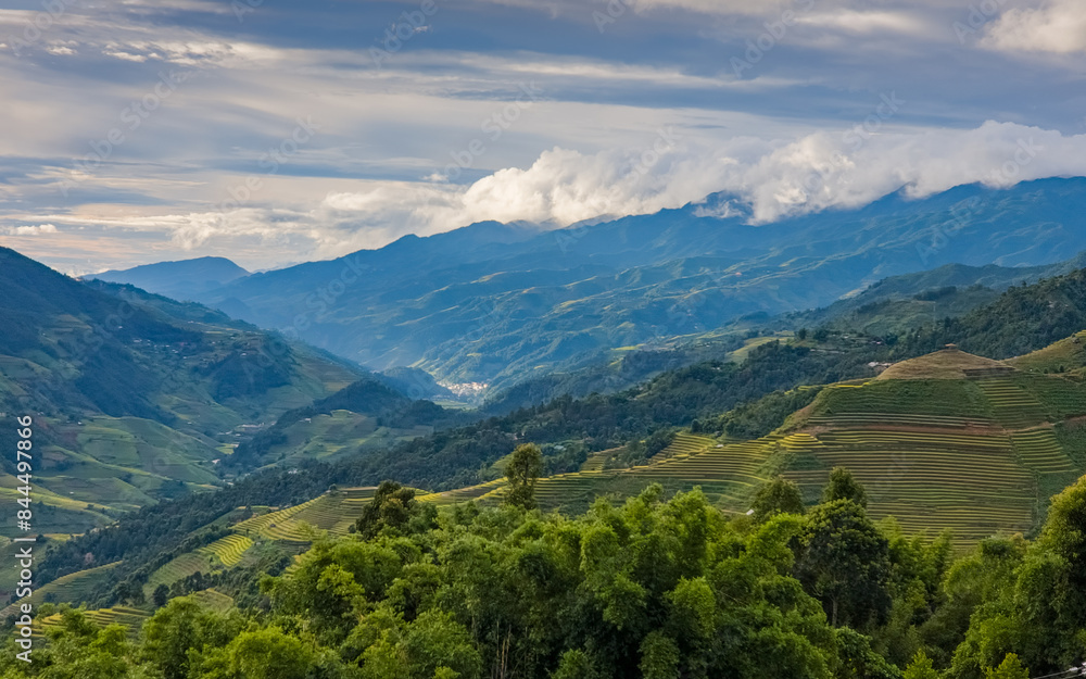 Fototapeta premium Mu Cang Chai terraced fields, Yen Bai, Vietnam