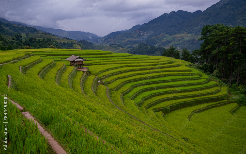 Mu Cang Chai terraced fields, Yen Bai, Vietnam Mu Cang Chai terraced fields, Yen Bai, Vietnam