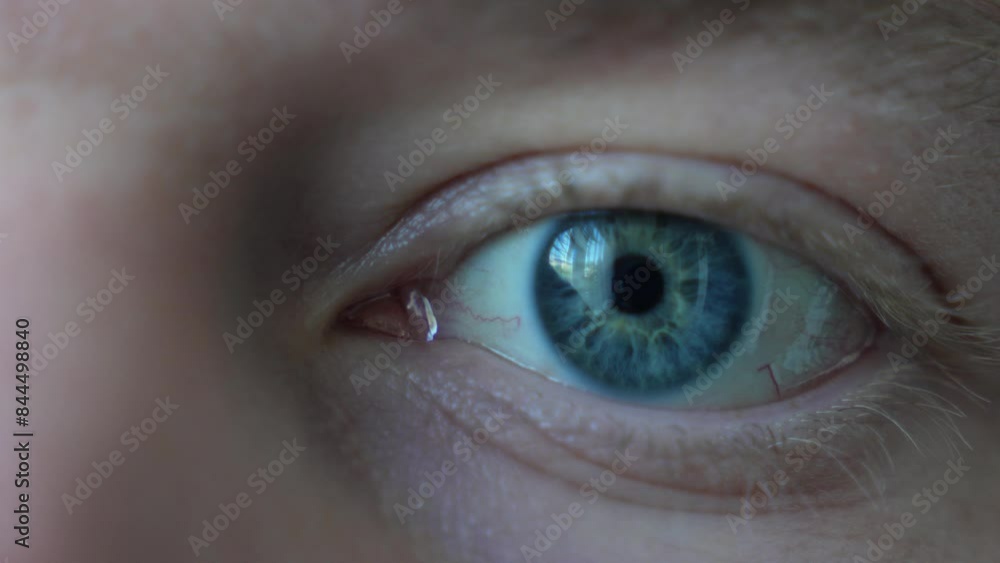 men's eyes blue, eye, eyes looking at the camera, eyes blink men's eyes blue, eye, eyes looking at the camera, eyes blink