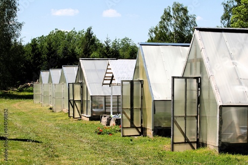 seedling nursery complex with several polycarbonate greenhouses © Girts