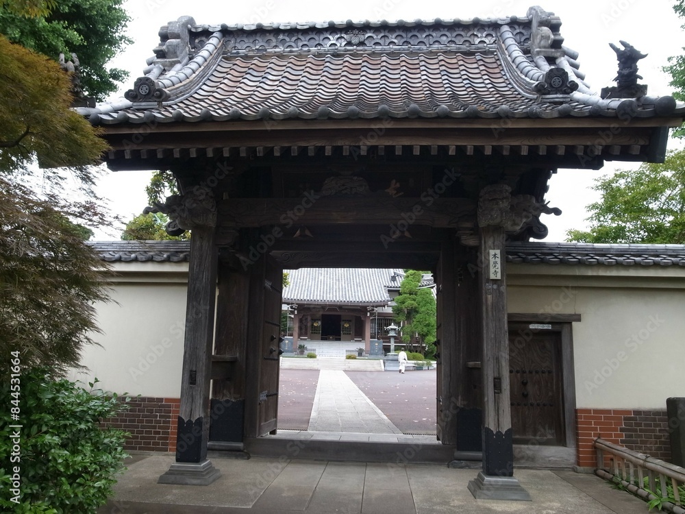 Fototapeta premium 本覚寺 山門